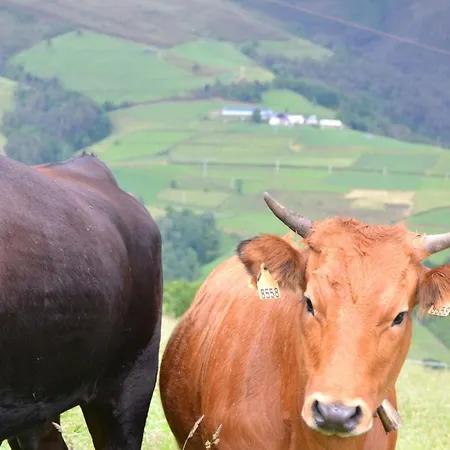 بيت شباب Albergue Belen