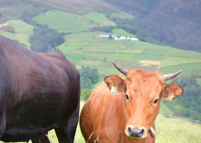 Hostal Albergue Belén
